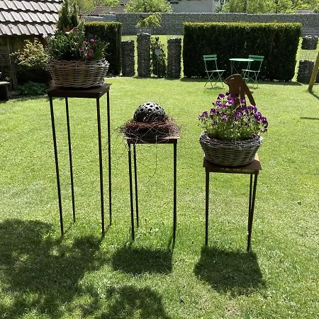 Zani Helga Отель типа 