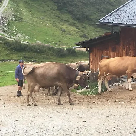 Zani Helga Frühstückspension