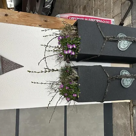 Frühstückspension Zani Helga