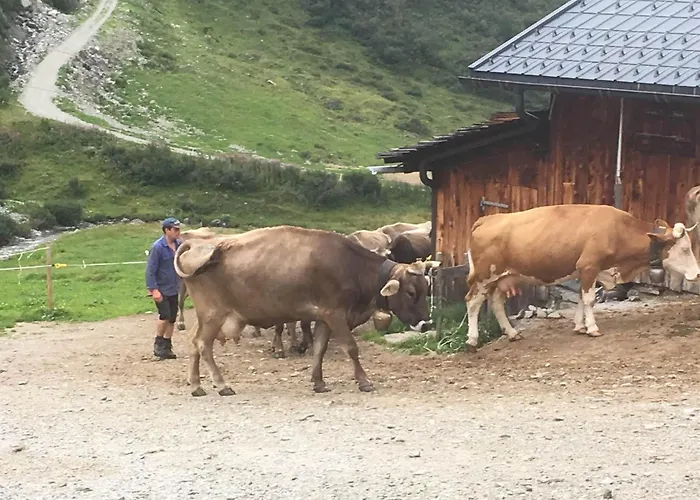 Zani Helga Bed & Breakfast